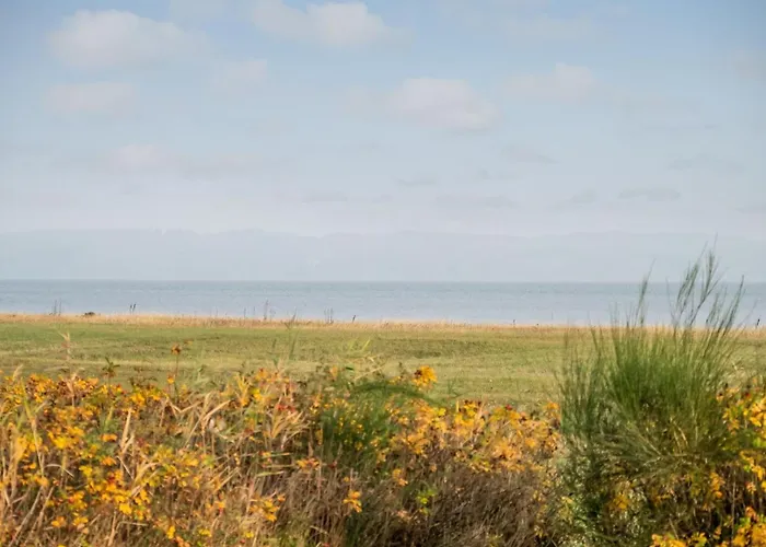 Duschanka - 50m To The Fjord By Interhome Holiday home *